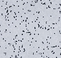 Линолеум Forbo Sphera Ec 450007 grey sky фото 1 | FLOORDEALER